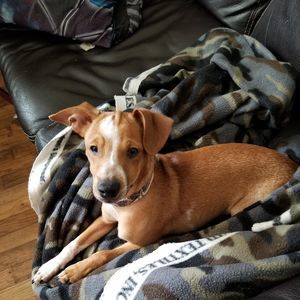 Meet your Posher, Rita